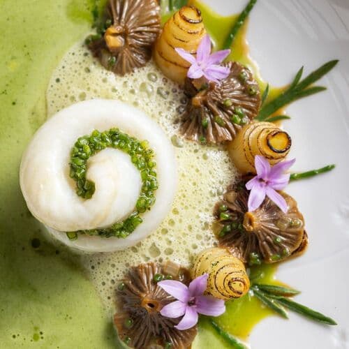 L'Observatoire du Gabriel