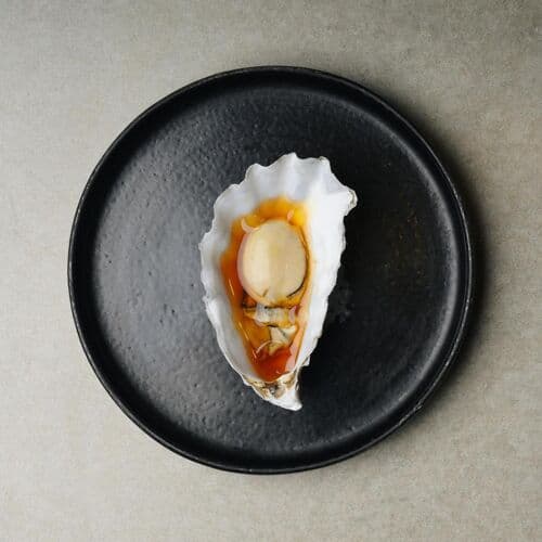 Albatross Death Cult