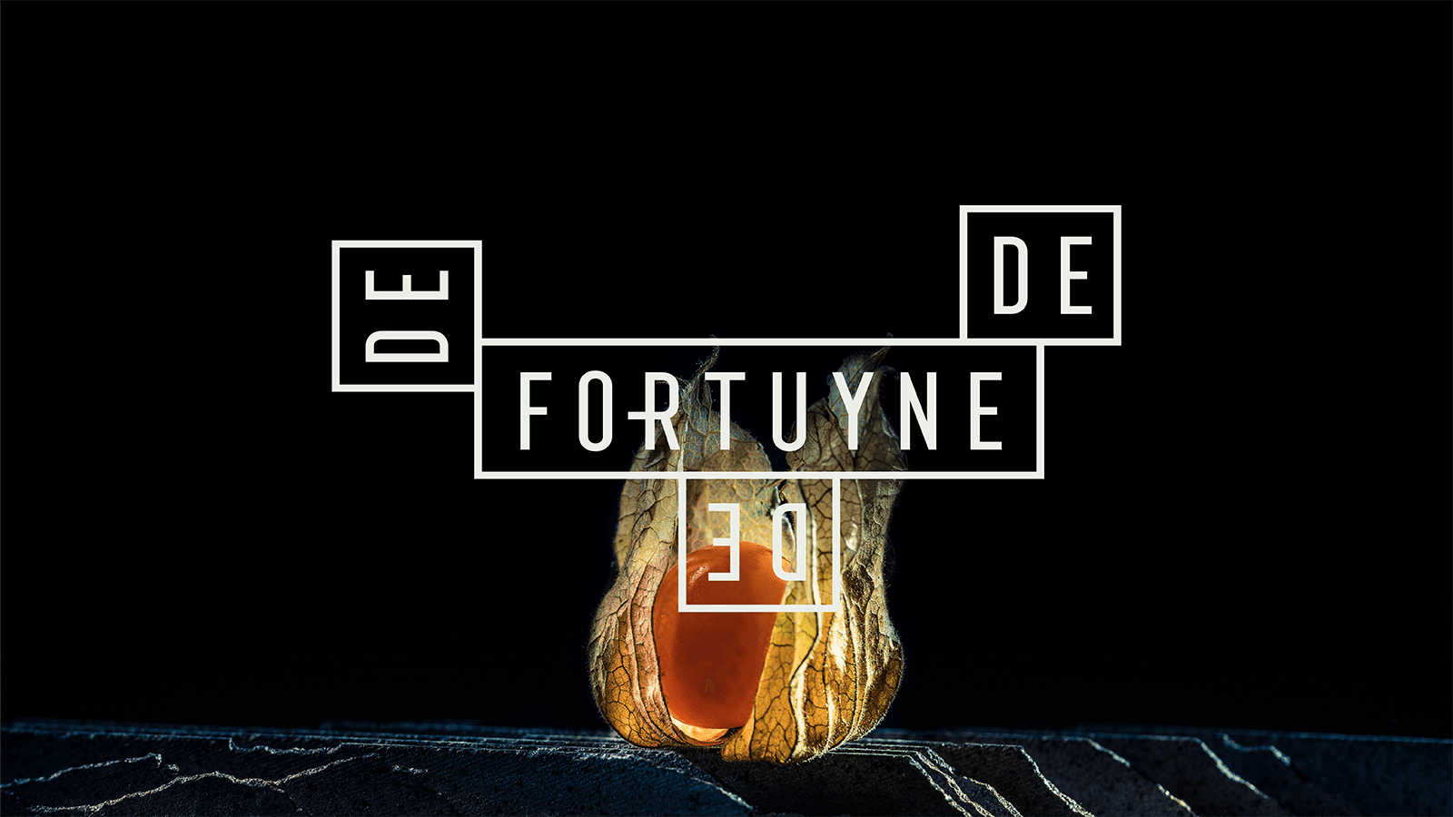 De Fortuyne
