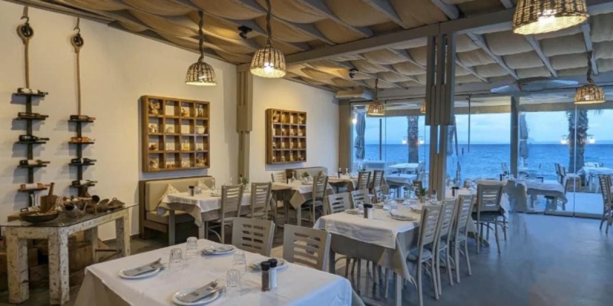 Amos Mediterranean Cuisine